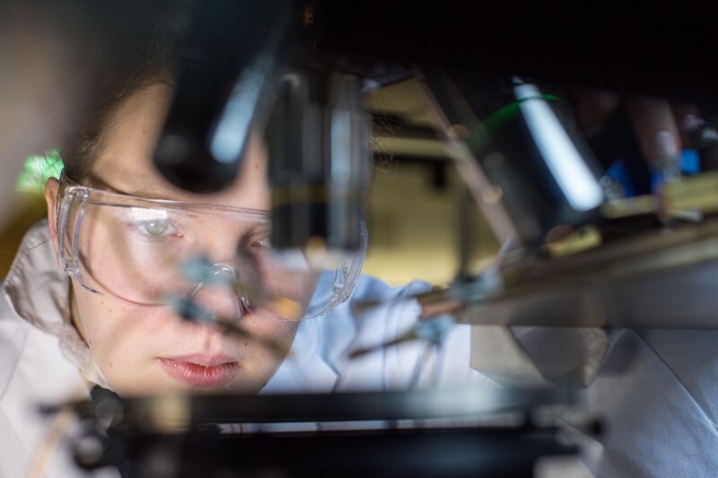 University of Limerick researchers