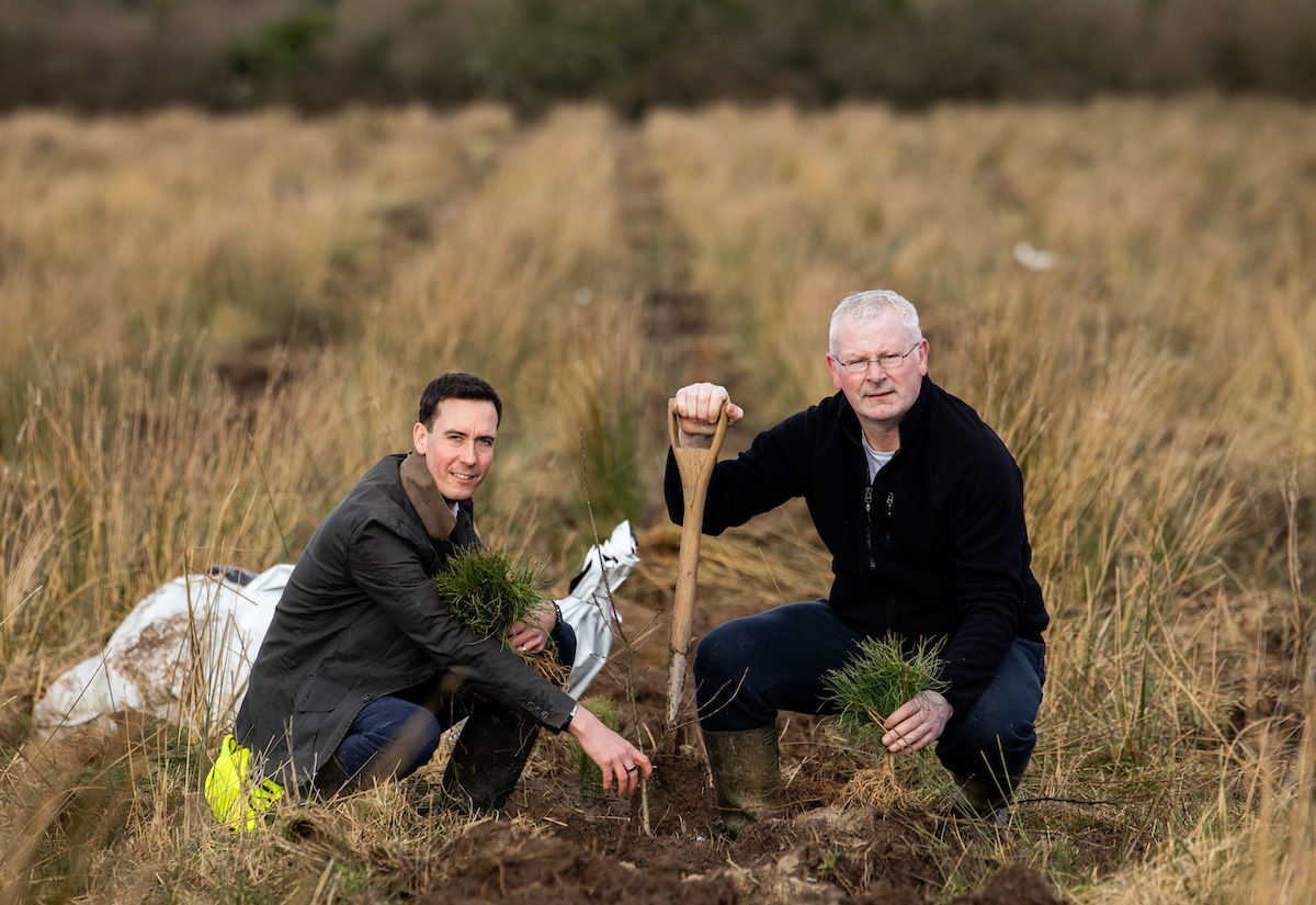 LEDP Tree planting across Limerick - EDP CEO Niall O'Callaghan, pictured with Dermot Laffan, Landowner/Farmer at Cappamore Co. Limerick. Picture: Alan Place.