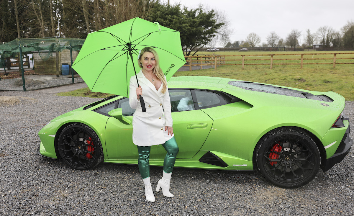 Limerick model Judy Fitzgerald pictured at Fitzgerald’s Woodlands House Hotel and Spa in her Limerick colours for St Patricks week supporting Little Blue Heroes supercar Bumblebee 1000 charity event. Picture: Jerry McCarthy