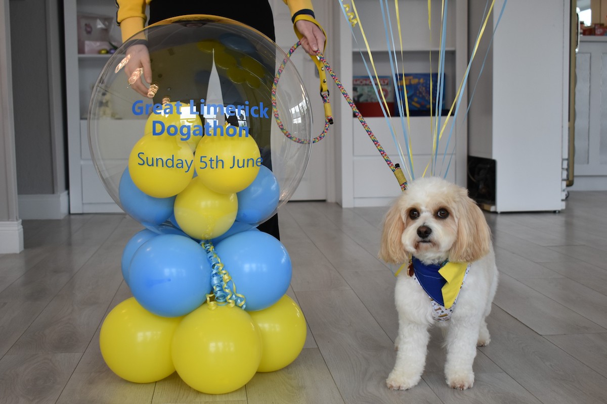 Great Limerick Dogathon will take place at Limerick Racecourse on Sunday, June 5, 2022