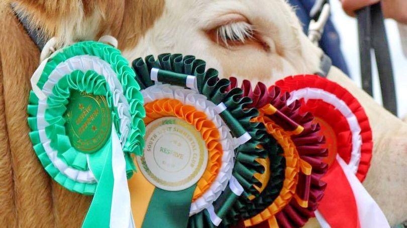 Cappamore Agricultural Show