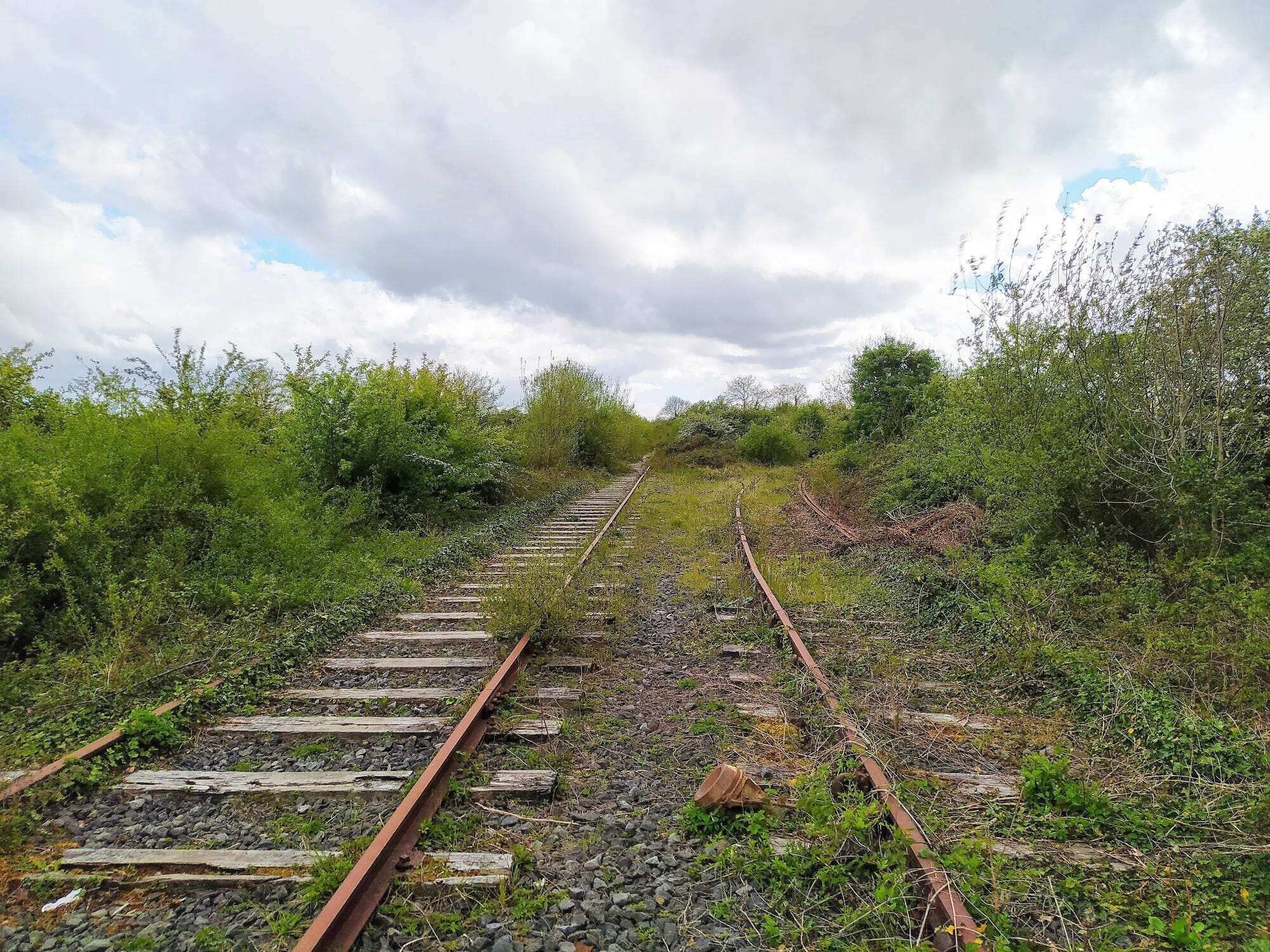 Limerick Foynes rail line