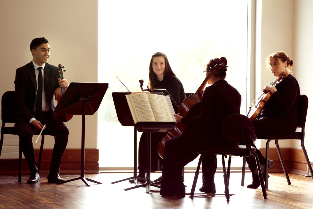ICO scholarship fund for talented students on the MA Classical String Performance at UL