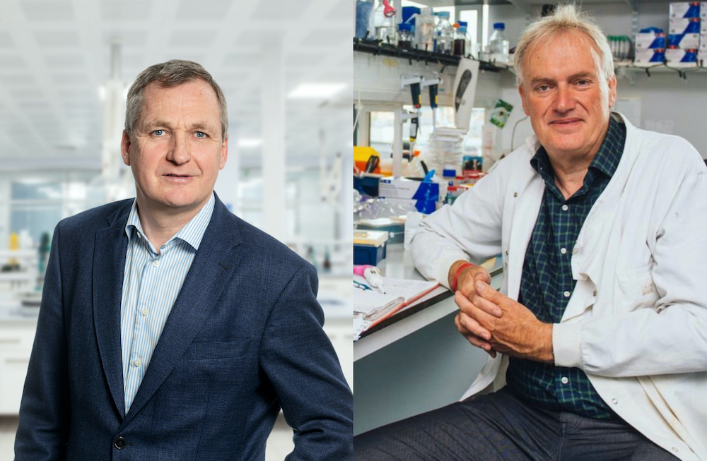Infectious diseases experts Cathal Friel and Professor Luke O'Neill to host fireside chat in Limerick cover