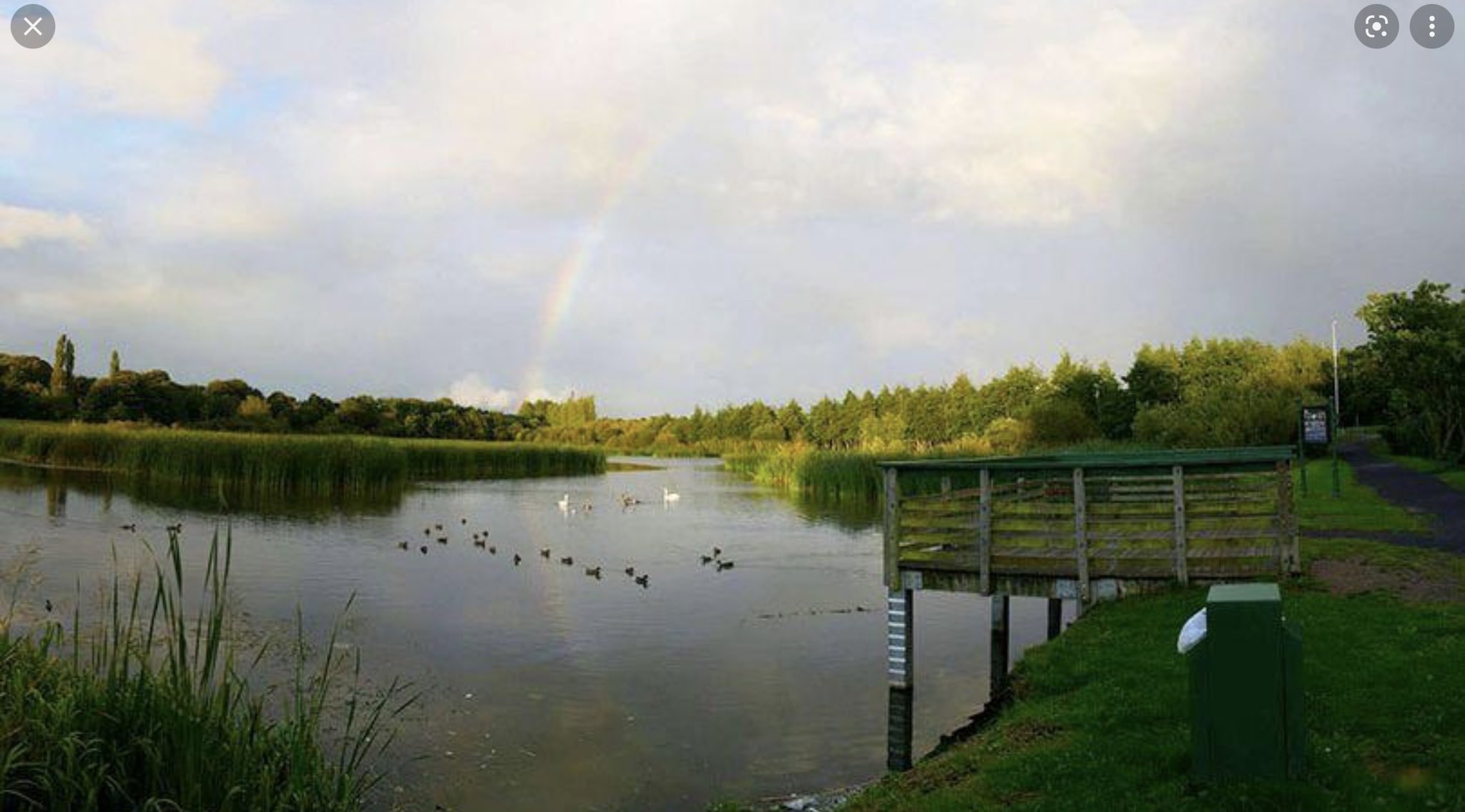 Westfield Wetlands