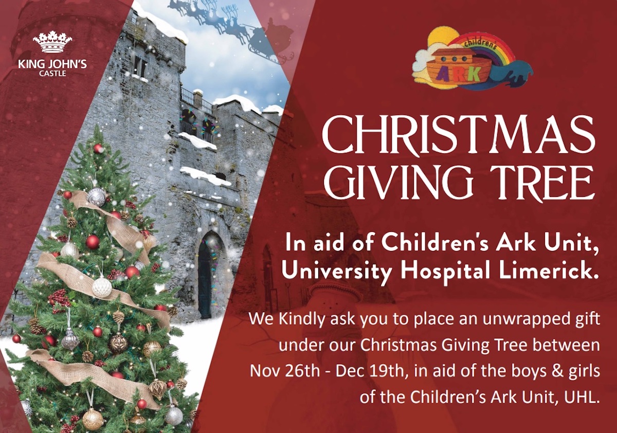 Discover Limerick DAC lends support to Christmas toy appeal for the Children’s Ark Unit at UHL