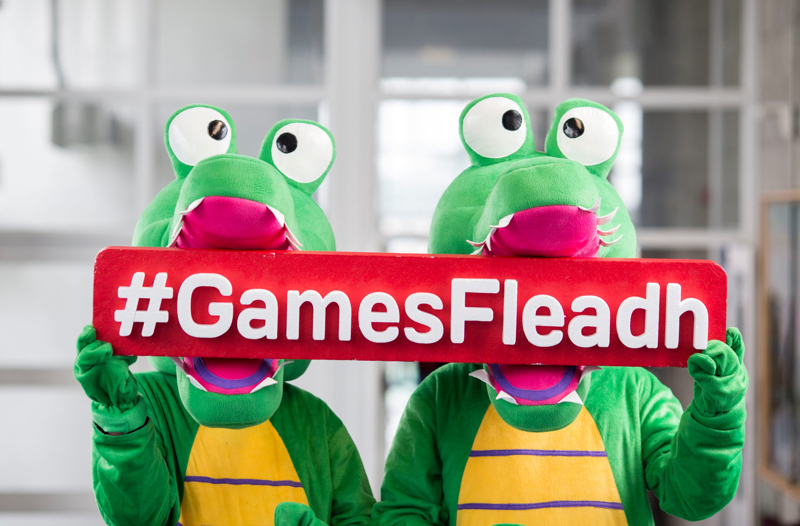 Ireland’s Games Fleadh celebrates 20 years at TUS