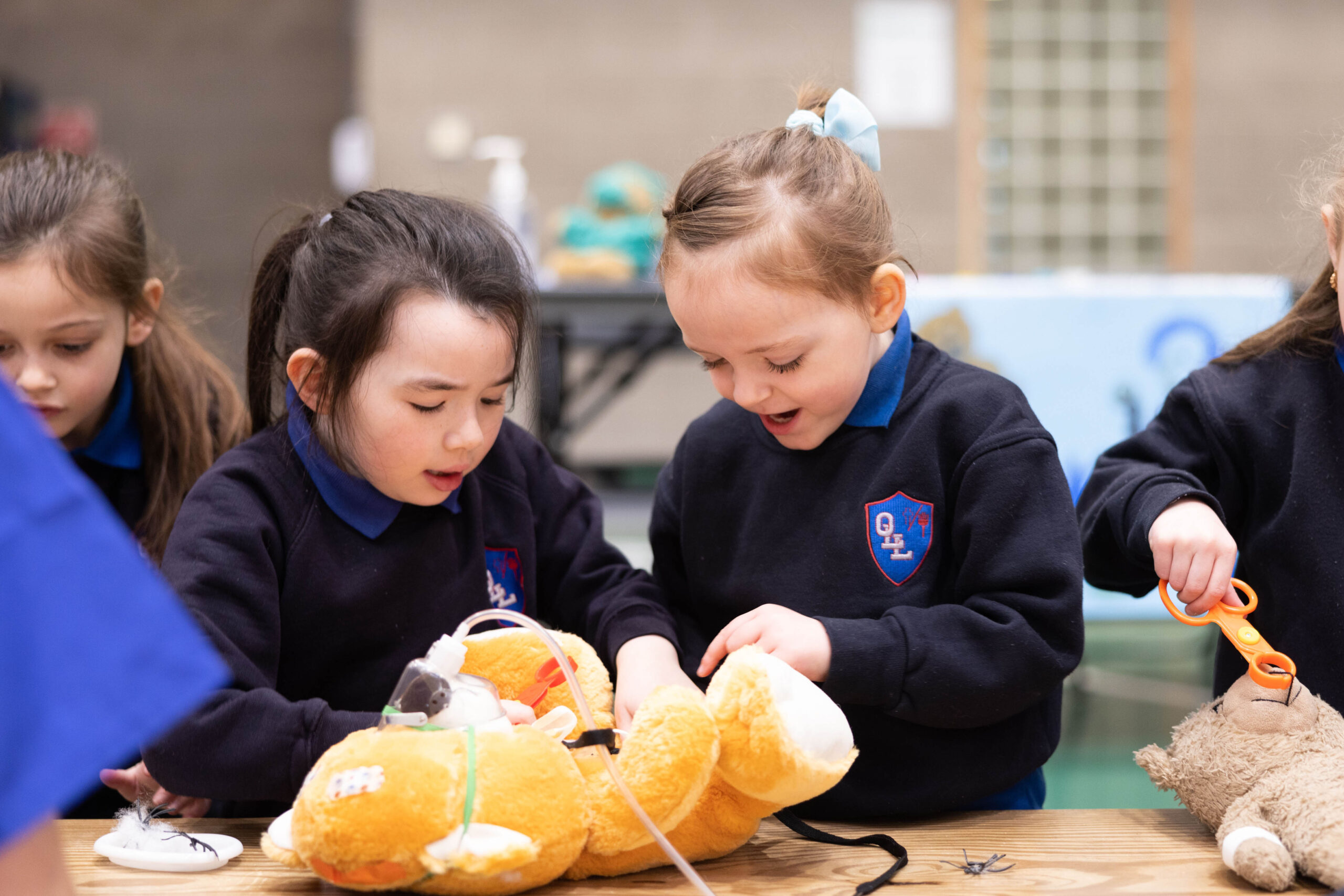 Primary school children attended the UL Teddy Bear Hospital on Wednesday to interact with students at University of Limerick’s School of Medicine