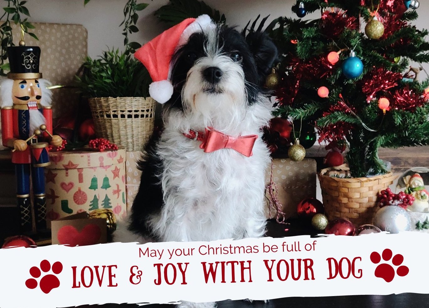 Big Bark podcast 2024 Charity Calendar announced