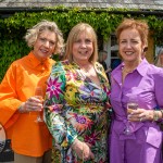 2024 St Gabriels Foundation ladies luncheon took place at Dunraven Arms, Adare on May 16, 2024. Picture: Olena Oleksienko/ilovelimerick