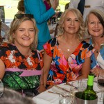 2024 St Gabriels Foundation ladies luncheon took place at Dunraven Arms, Adare on May 16, 2024. Picture: Olena Oleksienko/ilovelimerick