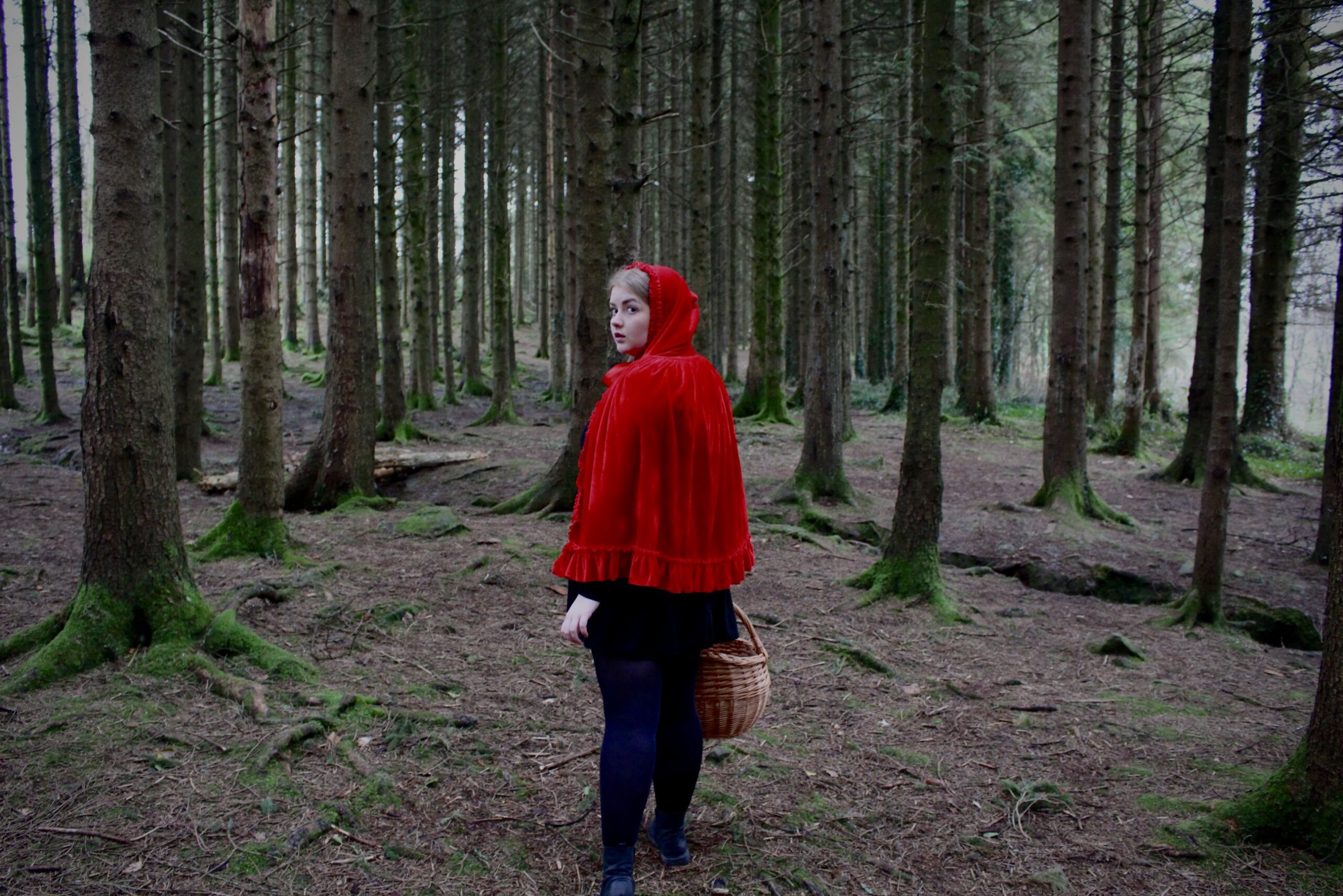 Mary Immaculate Dramatic Arts Society is set to return to the Lime Tree Theatre this March 21 to 23 taking on the Sondheim classic Into the Woods