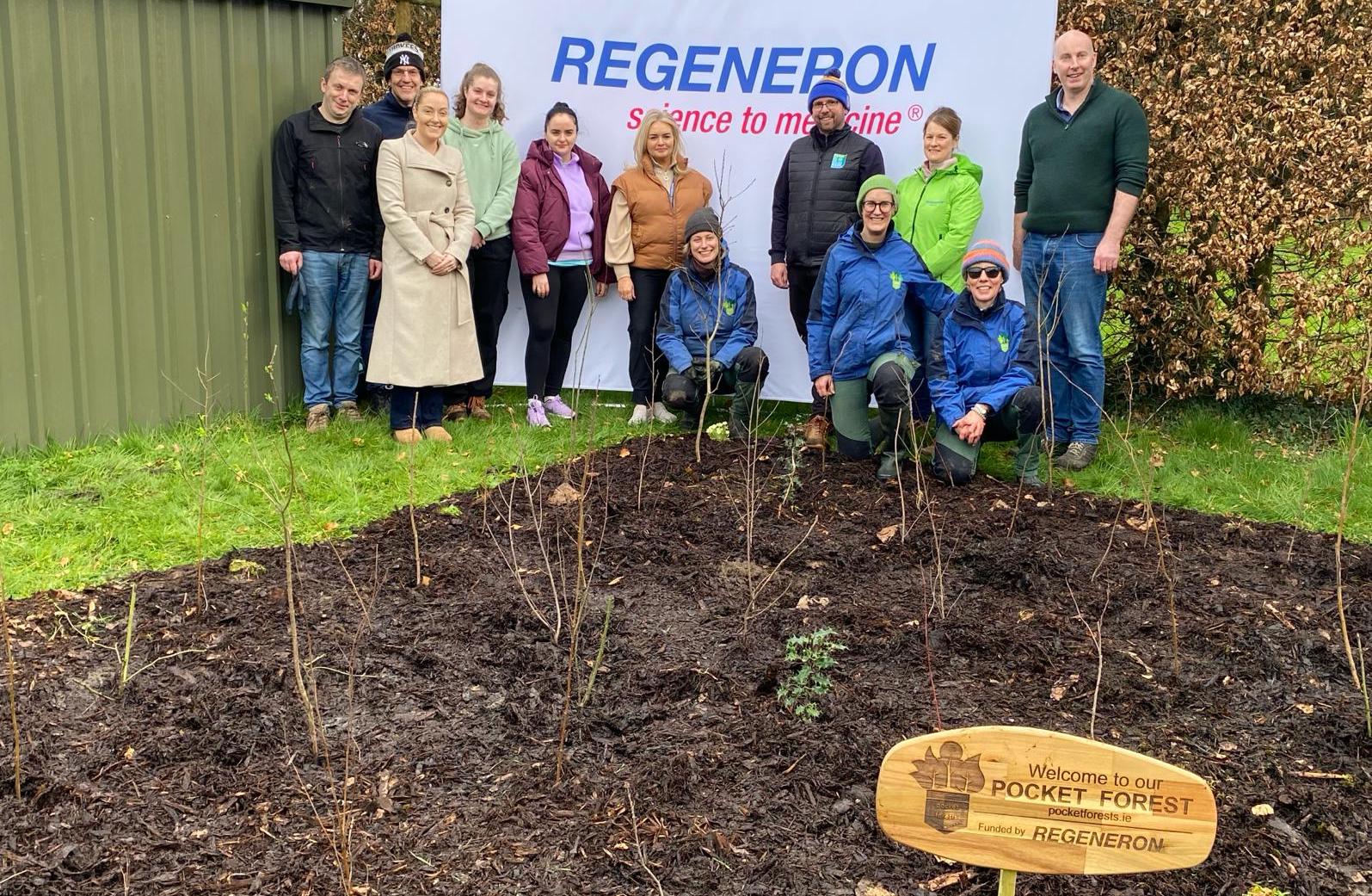 Regeneron Pocket Forests and NOVAS recently partnered to create a beautiful healing space at NOVAS Respite House for people whose loved ones are in addiction.