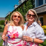 St Gabriels Foundation Ladies Lunch took place at The Dunraven in Adare on May 15, 2025. PIcture: Olena Oleksienko/ilovelimerick