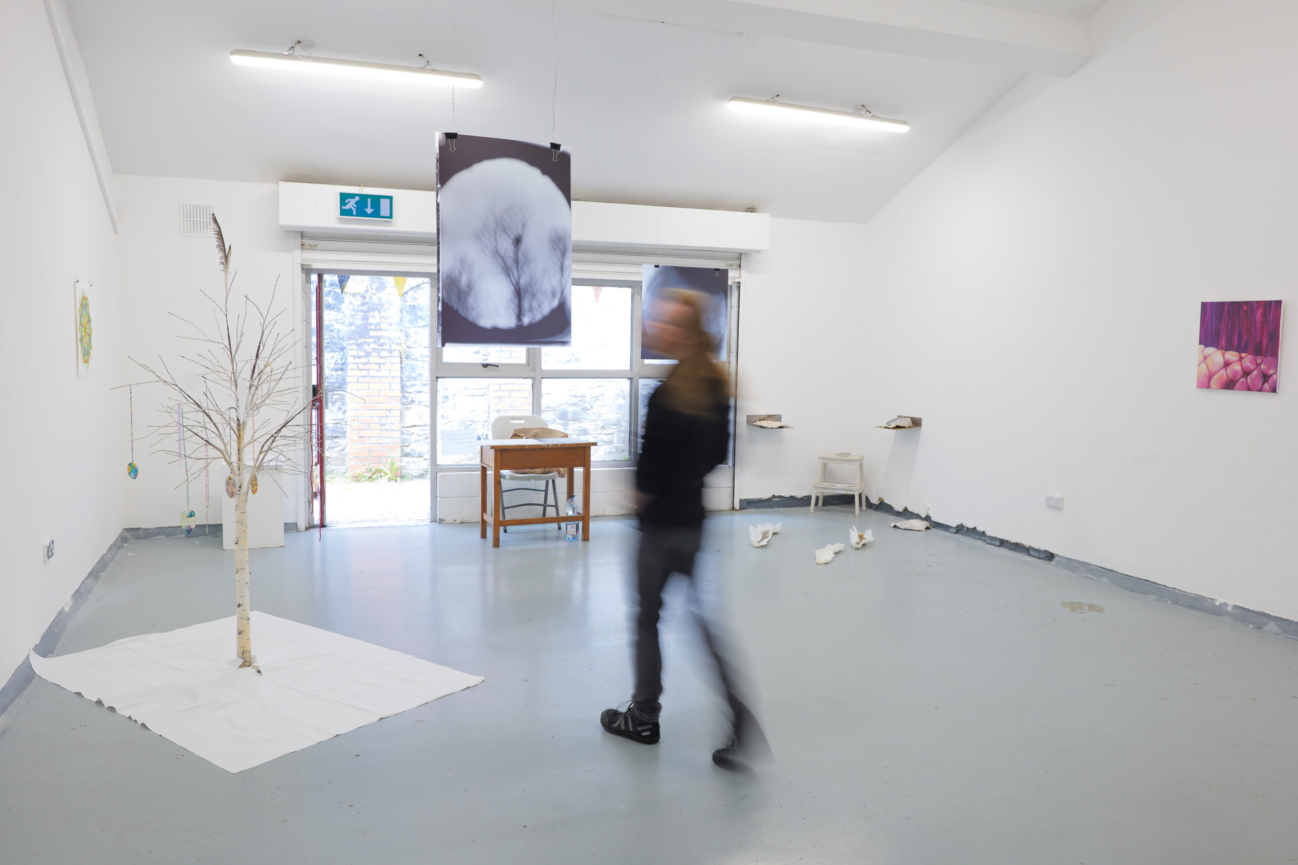 studio member Shane Vaughan