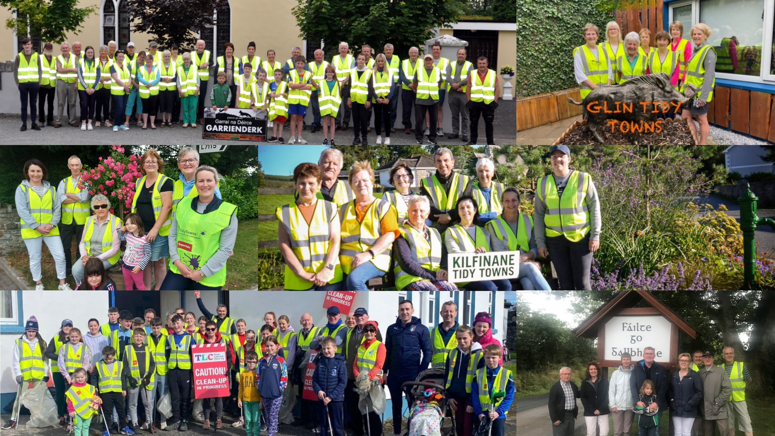 2025 going for gold wildcards