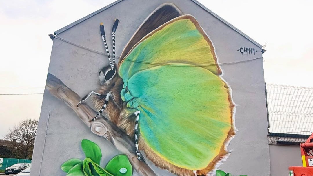 butterfly mural
