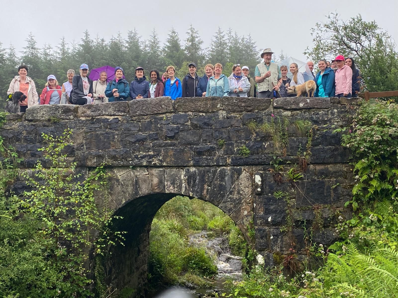 Walking Buddies Group Hike