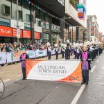 53rd International Band Championship Limerick. Picture: Olena Oleksienko/ilovelimerick