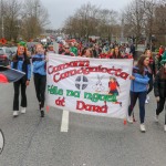 Adare St Patricks Day Parade 2022. Picture: Richard Lynch/ilovelimerick