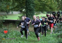 adare-to-survive-logo105