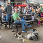 Africa Day 2023 took place Sunday, May 28, 2023 at the Limerick Milk Market. Picture: Olena Oleksienko/ilovelimerick