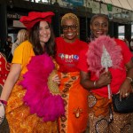 Africa Day took place in Limerick Milk Market on Saturday, May 25. 2024. Picture: Olena Oleksienko/ilovelimerick