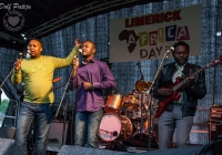 dolf_patijn_Limerick_Africa_Day_24052014_0275