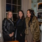 True: A Celebration of the Work of Billy Hayes opened to the public at the People’s Museum of Limerick on Friday, March 6th, 2026. Picture: Olena Oleksienko/ilovelimerick