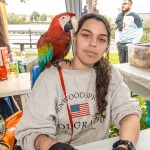 Brazilian Day Limerick 2025 took place at the Hunt Museum on Saturday, August 30, 2025. Picture: Olena Oleksienko/ilovelimerick