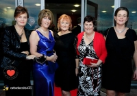 carers-masquerade-ball-2013-thomond-park_58