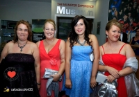 carers-masquerade-ball-2013-thomond-park_8