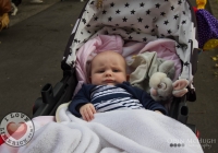 ILOVELIMERICK_LOW_PeoplesParkWalk_0077
