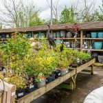 Clarenbridge-Garden-Centre-logo-56