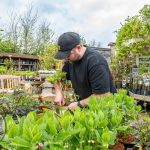 Clarenbridge-Garden-Centre-logo-69