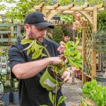 Clarenbridge-Garden-Centre-logo-70
