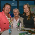 Cliona's Foundation Riverfest event at the Limerick Strand Hotel, April 30, 2023. Picture: Olena Oleksienko/ilovelimerick