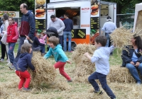 Culture + chips 236