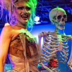 limerick-pride-climax-party-2025-logo-153