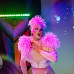 limerick-pride-climax-party-2025-logo-208