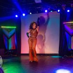 limerick-pride-climax-party-2025-logo-224