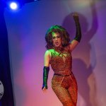 limerick-pride-climax-party-2025-logo-228