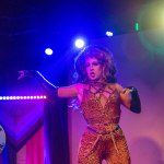 limerick-pride-climax-party-2025-logo-230