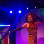 limerick-pride-climax-party-2025-logo-234