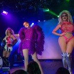 limerick-pride-climax-party-2025-logo-271