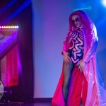 limerick-pride-climax-party-2025-logo-277