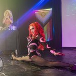 limerick-pride-climax-party-2025-logo-290
