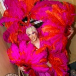 limerick-pride-climax-party-2025-logo-30