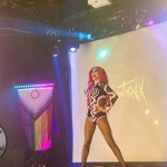 limerick-pride-climax-party-2025-logo-304