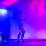 limerick-pride-climax-party-2025-logo-329